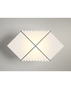 Black Hole Wall/Pendant Light