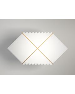 Black Hole Wall/Pendant Light